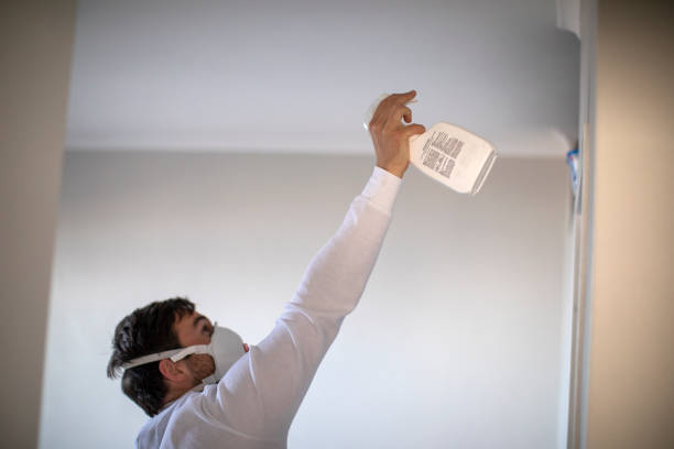  Howell, MI Mold Removal Pros