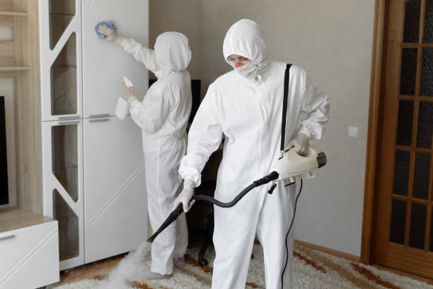 Best Industrial Mold Remediation in Howell, MI