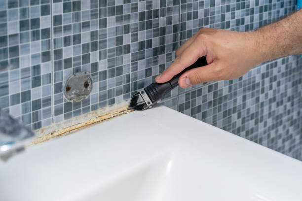 Best White Mold Remediation in Howell, MI